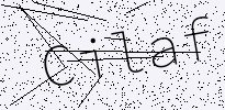 captcha verification